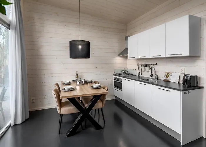 Roompot Domek alpejski Schayk