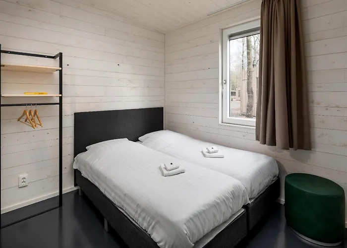 Roompot Domek alpejski Schayk